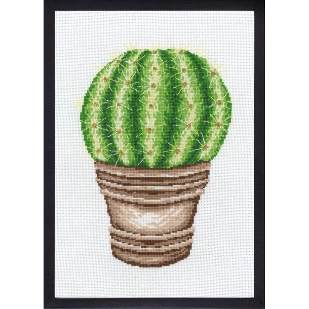 Broderi (billede) med rund kaktus 